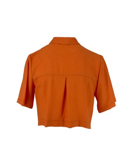 chicard shirt 2